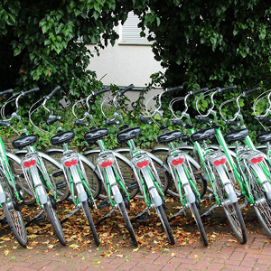 Fietsverhuur afbeelding 1