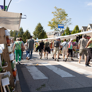 Evenementen afbeelding 1