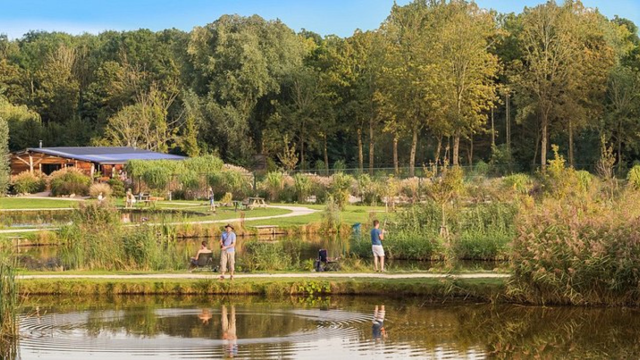 Toms Creek achtergrond